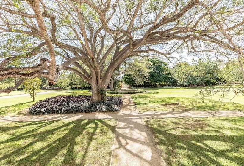 호텔 Hacienda San Antonio Millet