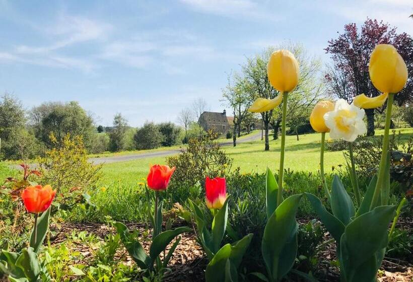 Les Cèdres Du Linard, Chambres D Hôtes B&b Near Lascaux, Montignac, Sarlat La Canéda, Dordogne