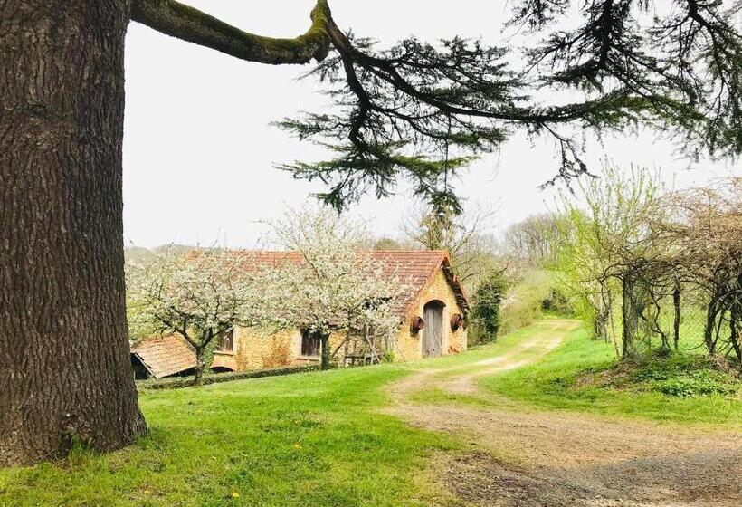 Les Cèdres Du Linard, Chambres D Hôtes B&b Near Lascaux, Montignac, Sarlat La Canéda, Dordogne