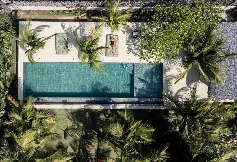 Пансион Avra Tatajuba