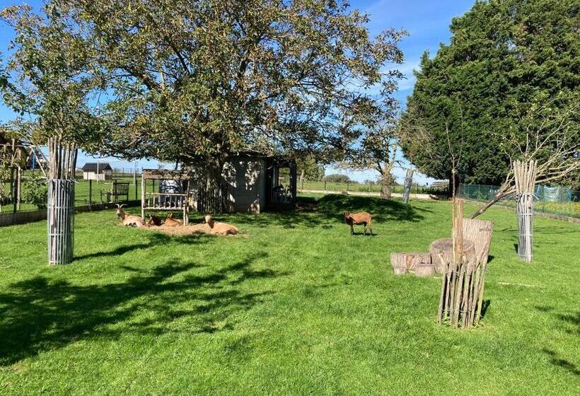 פנסיון B&b Den Biesthoek