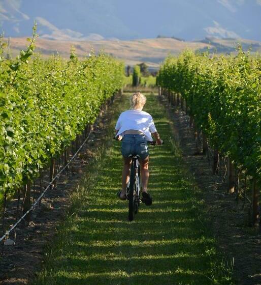 پانسیون Ddog Vineyard & Bnb