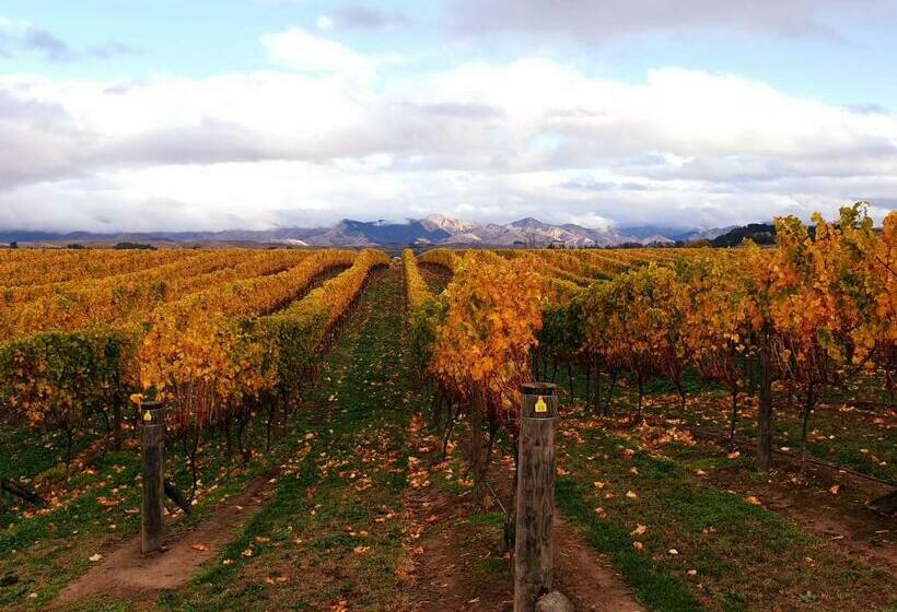 پانسیون Ddog Vineyard & Bnb