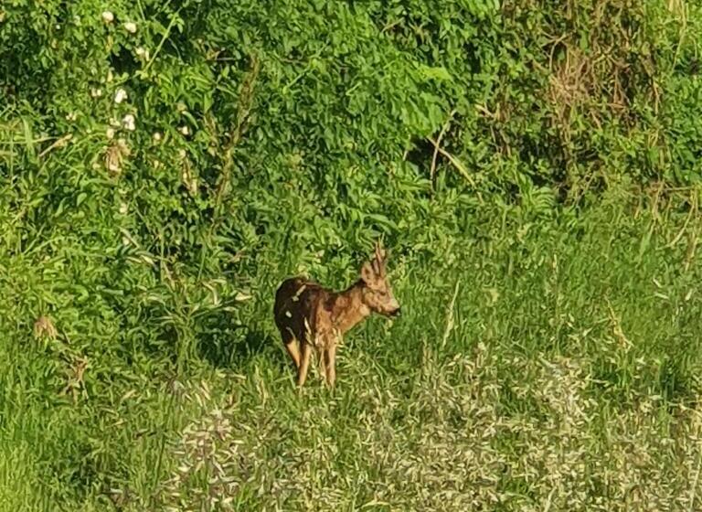 Пансион Chambres La Fabière Vauciennes  Epernay