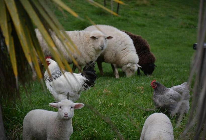 پانسیون Ddog Vineyard & Bnb