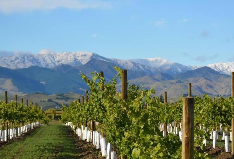 پانسیون Ddog Vineyard & Bnb