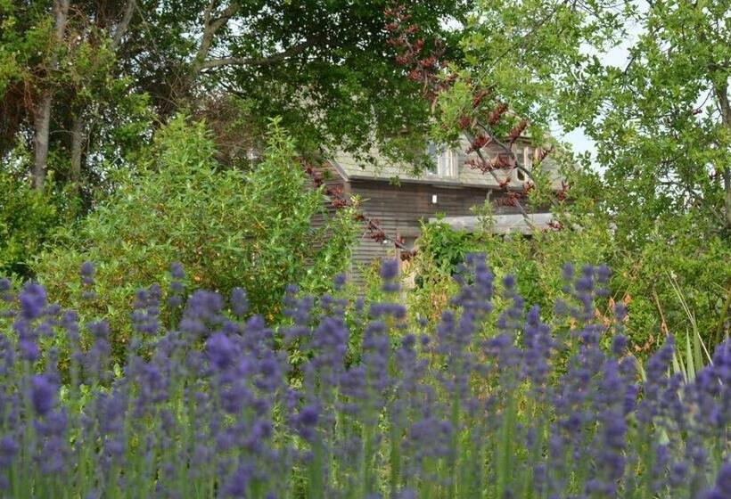 پانسیون Ddog Vineyard & Bnb