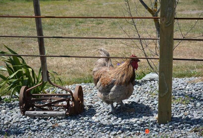 پانسیون Ddog Vineyard & Bnb