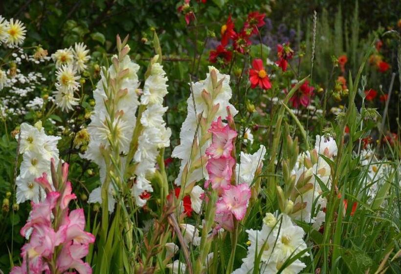 پانسیون Ddog Vineyard & Bnb