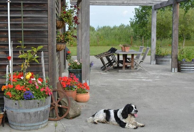 پانسیون Ddog Vineyard & Bnb