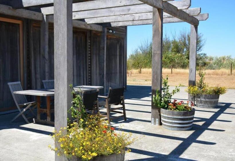 پانسیون Ddog Vineyard & Bnb