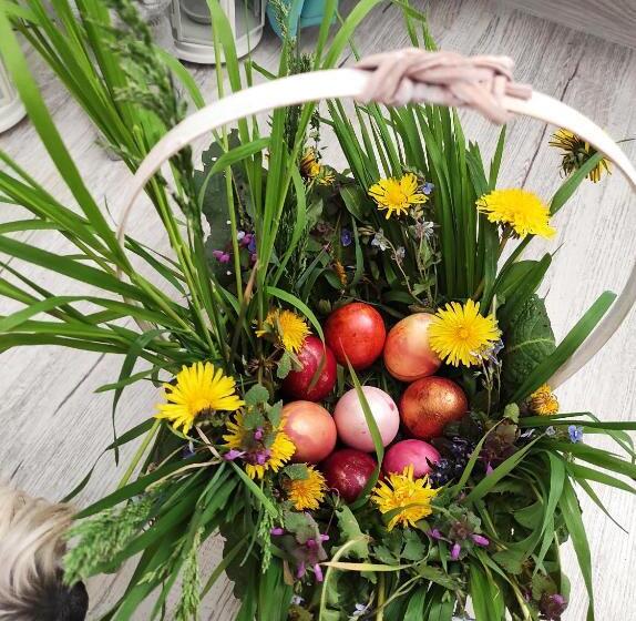 פנסיון Happy Home