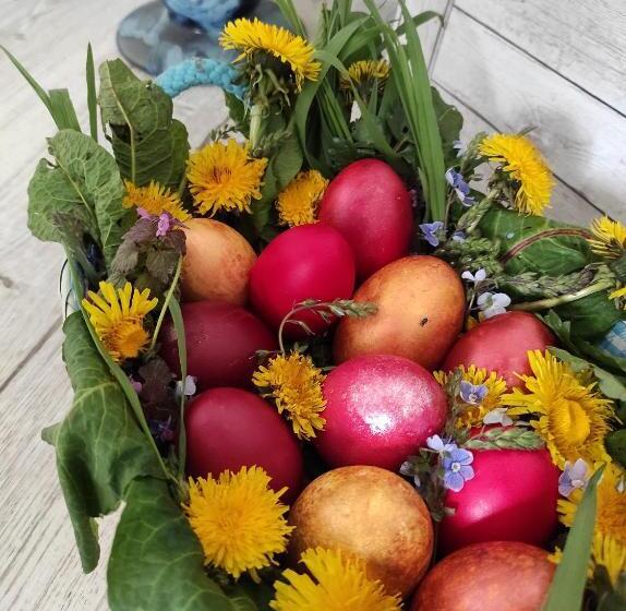 פנסיון Happy Home