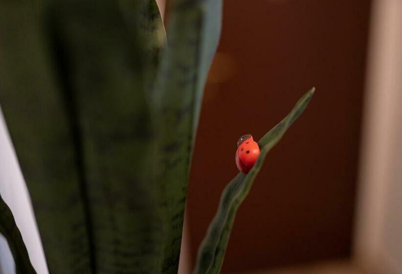 펜션 La Nuova Coccinella