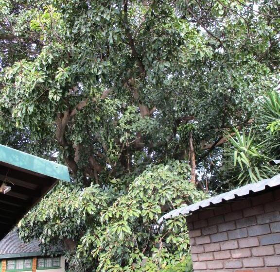 펜션 Lutea Guest House