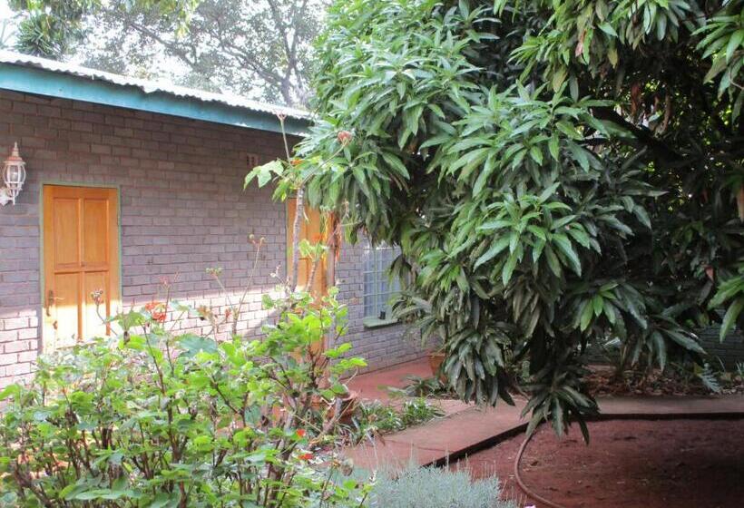 펜션 Lutea Guest House