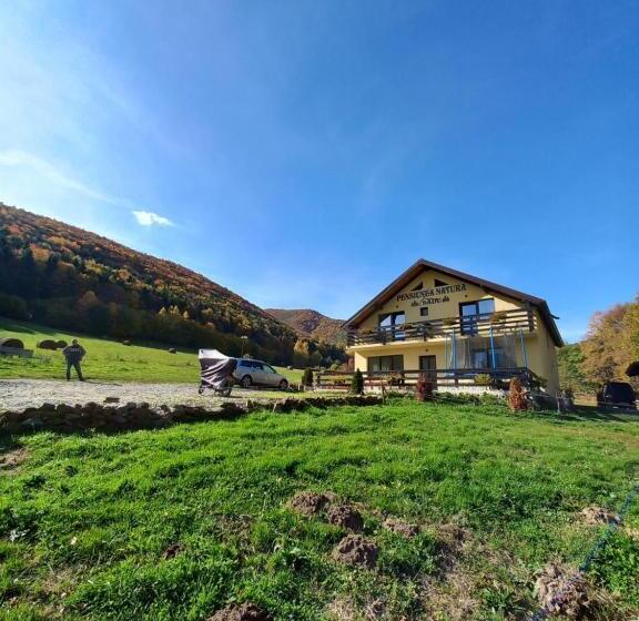 Pensiunea Natura Sadu