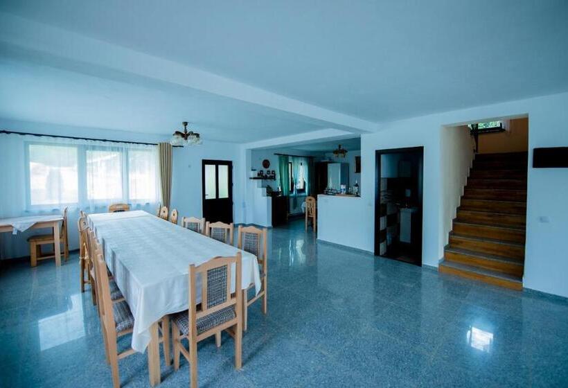 Pensiunea Natura Sadu