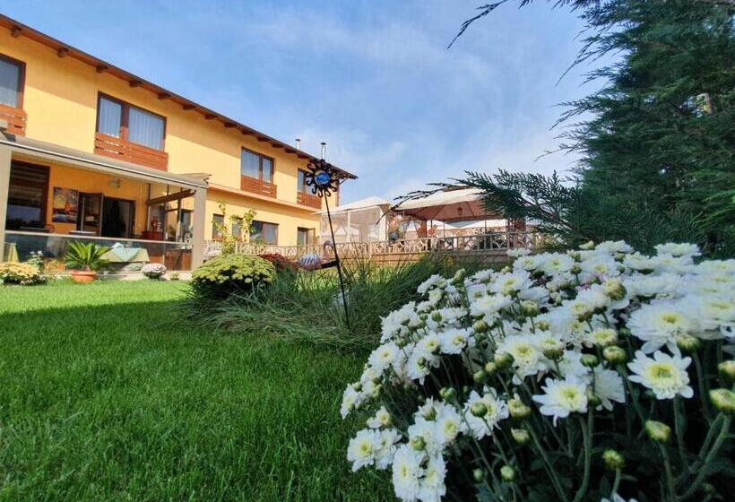 Sultan Mehmet Pensiune & Restaurant