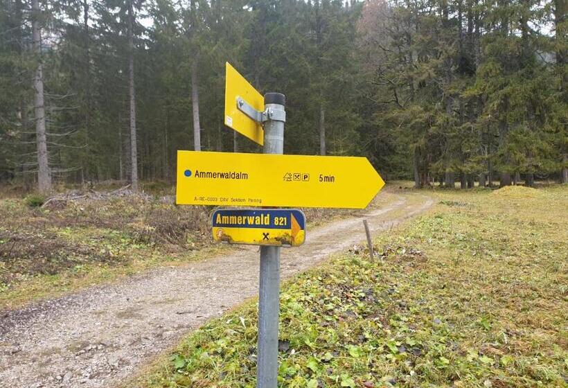 旅馆 Ammerwald Alm