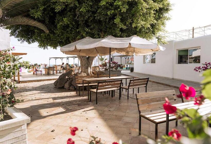 فندق صغير The Tree House Tenerife