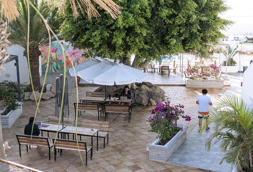 فندق صغير The Tree House Tenerife