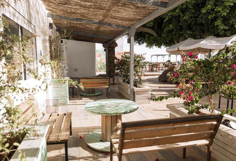 فندق صغير The Tree House Tenerife