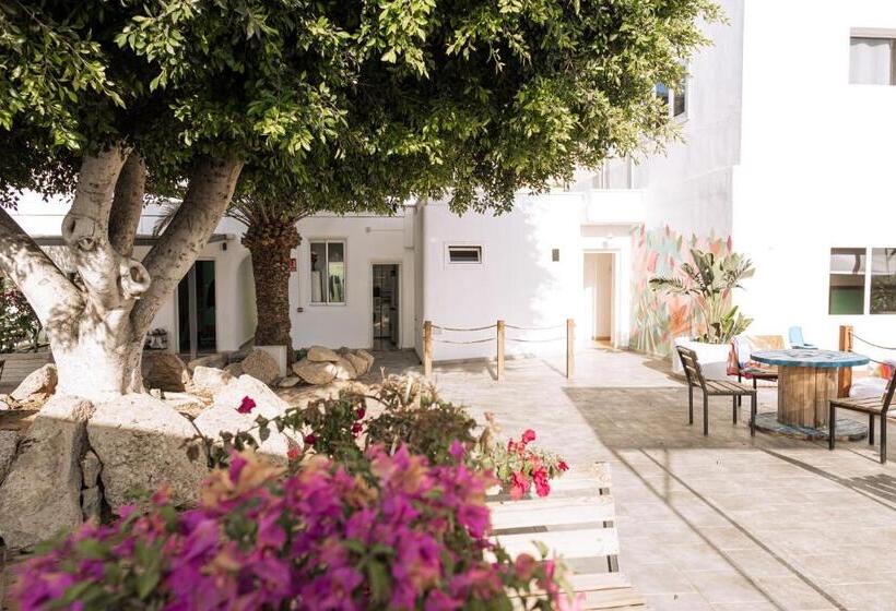 فندق صغير The Tree House Tenerife