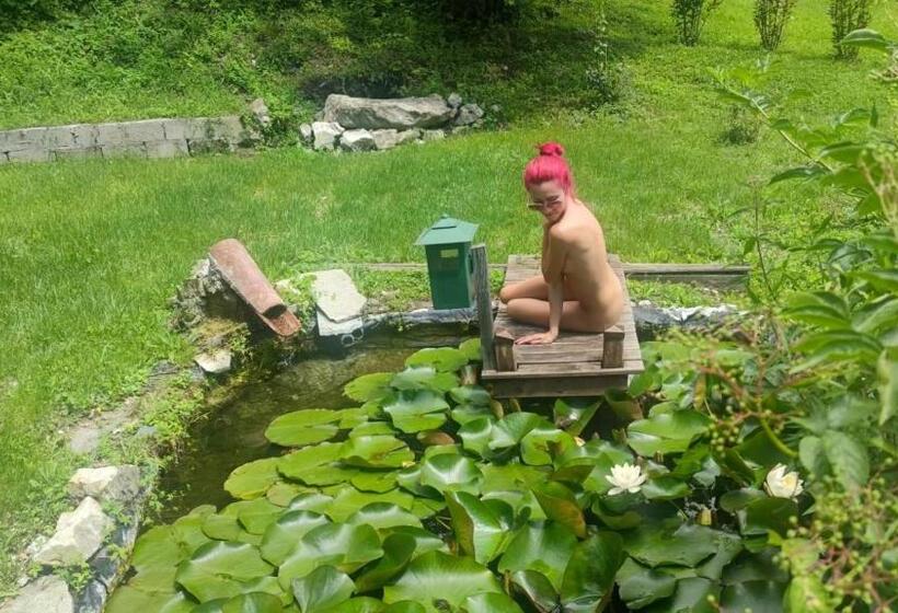 B&b Naturista E Spa Mondoselvaggio