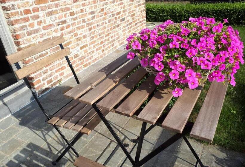 B&b  T Hoveke