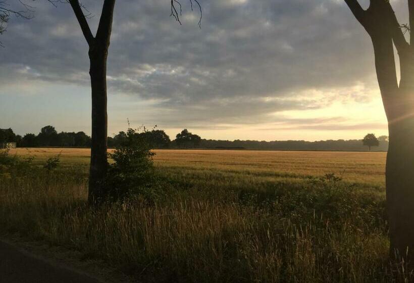 ベッドアンドブレックファースト Altynghe