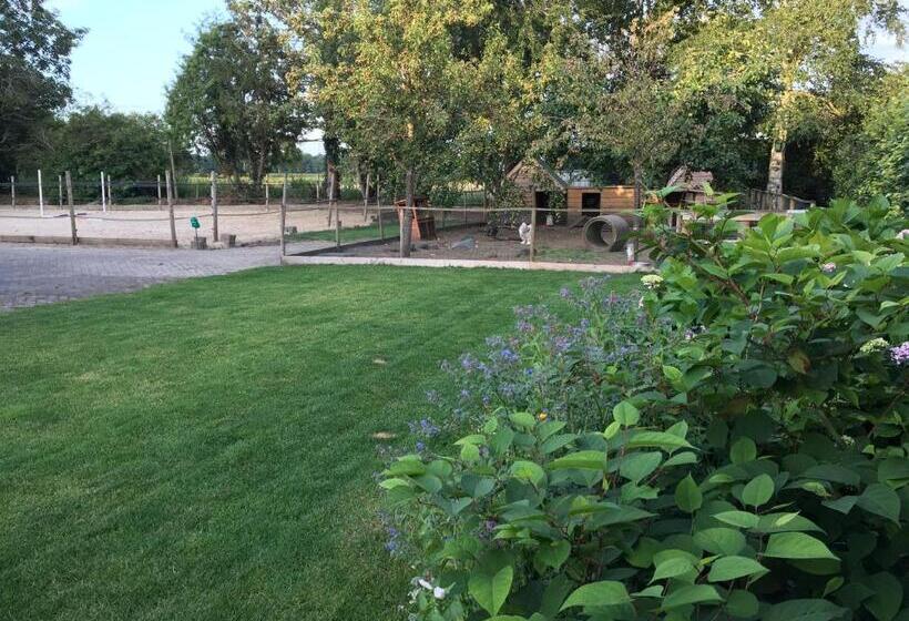 ベッドアンドブレックファースト Altynghe