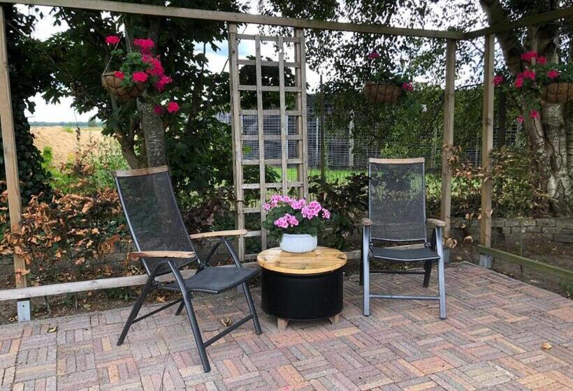 ベッドアンドブレックファースト Altynghe