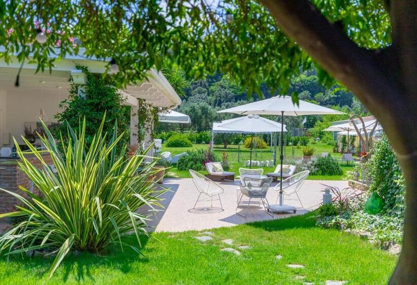 ベッドアンドブレックファースト Cantine Cipri Resort