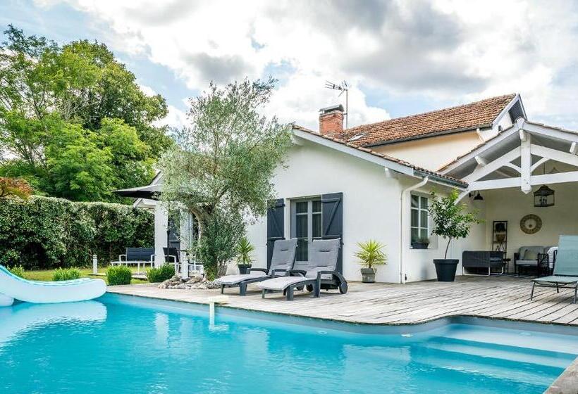 ベッドアンドブレックファースト Chambre Avec Salle De Bain Privée De La Canopée De Mios