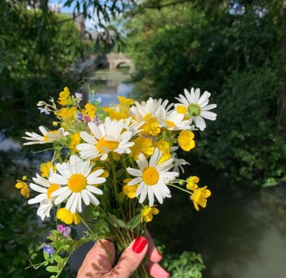 مبيت وإفطار Maison Léontine