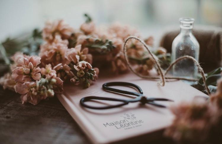 مبيت وإفطار Maison Léontine