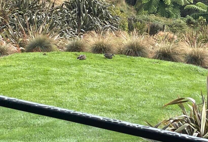 Bed and Breakfast Mangorei Heights   New Plymouth