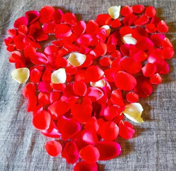 تختخواب و صبحانه Palheiro Do Malgas