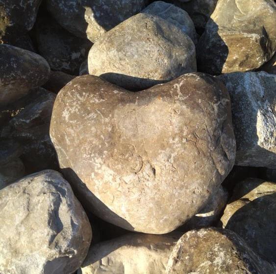 تختخواب و صبحانه Palheiro Do Malgas