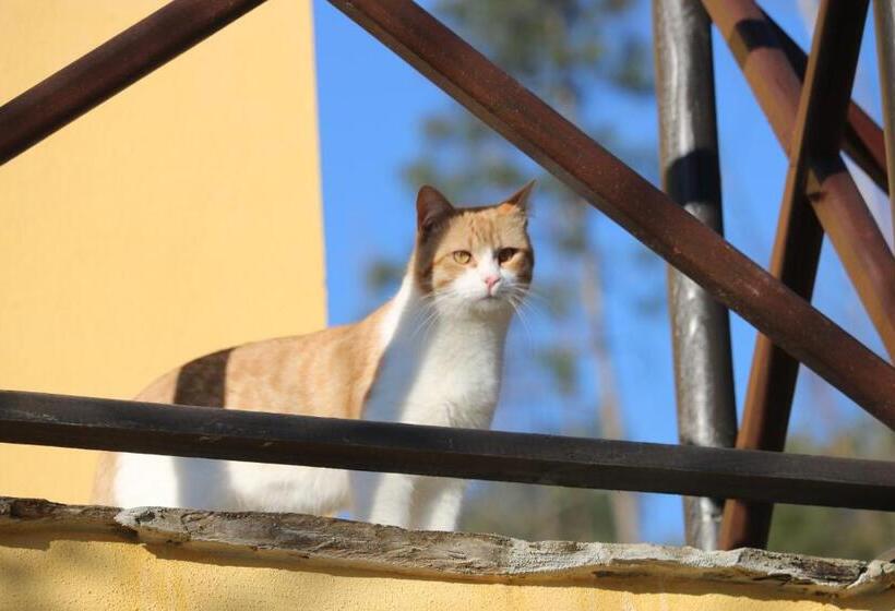 تختخواب و صبحانه Palheiro Do Malgas