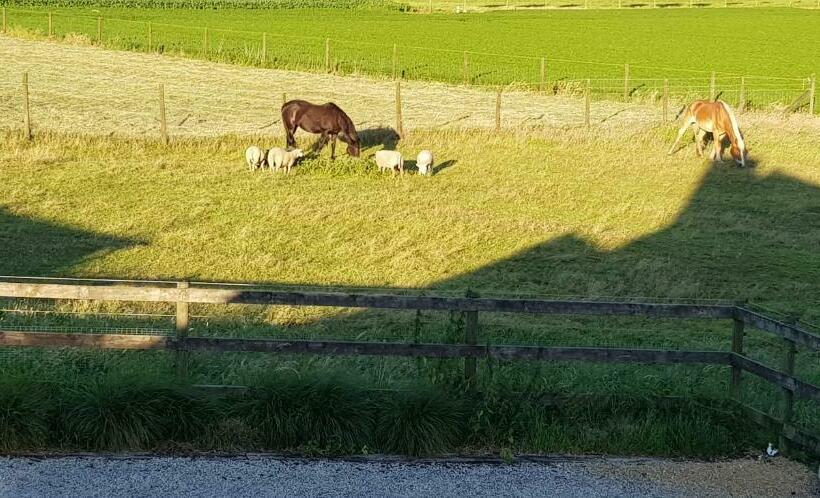 Bed and Breakfast Ruidenberg