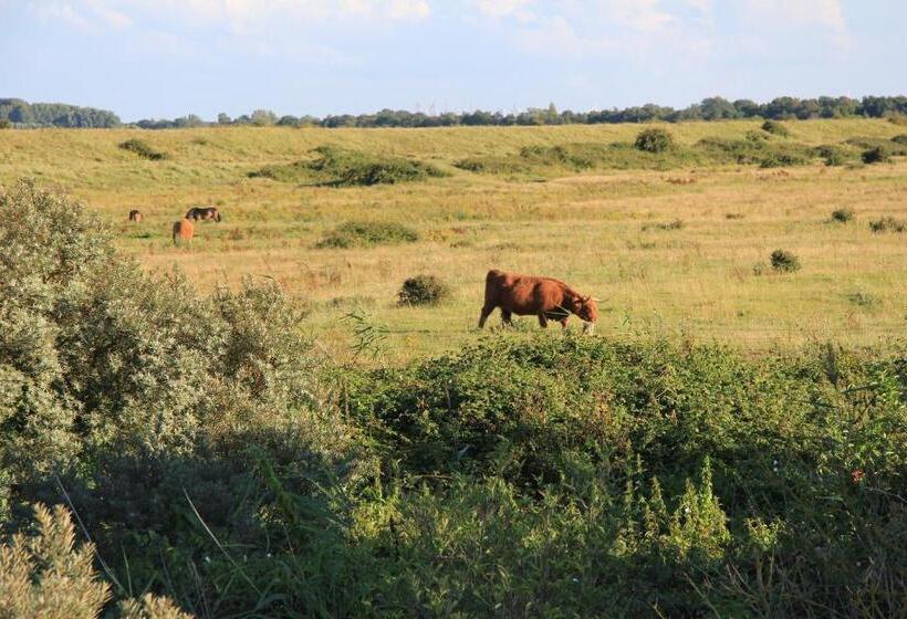 צימר Zeeland & Meer