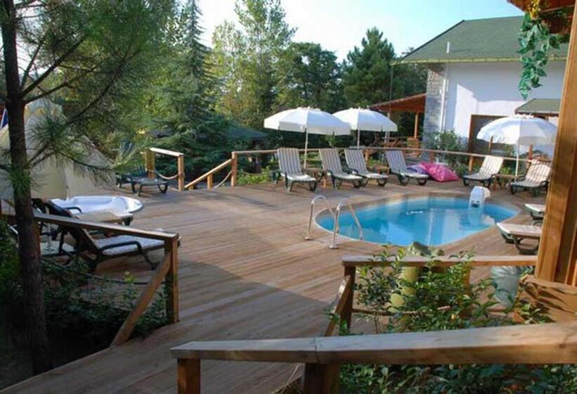 هتل Treetops Park