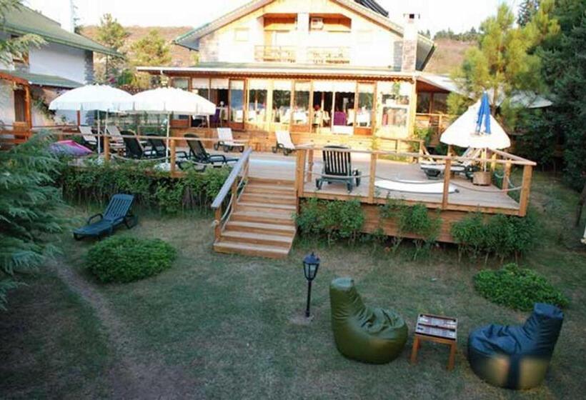 هتل Treetops Park