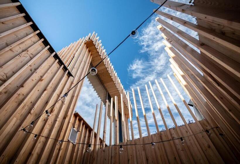 Les Camuches De La Banque