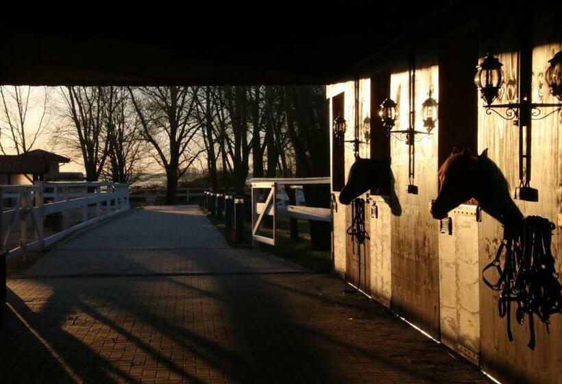 Luxus Resort Rügen Residenz Kubitzer Bodden