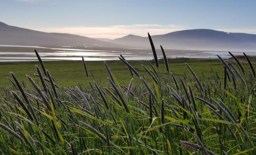 پانسیون Helluland Guesthouse