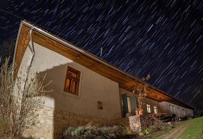 膳宿费 Hungry Grape Guests