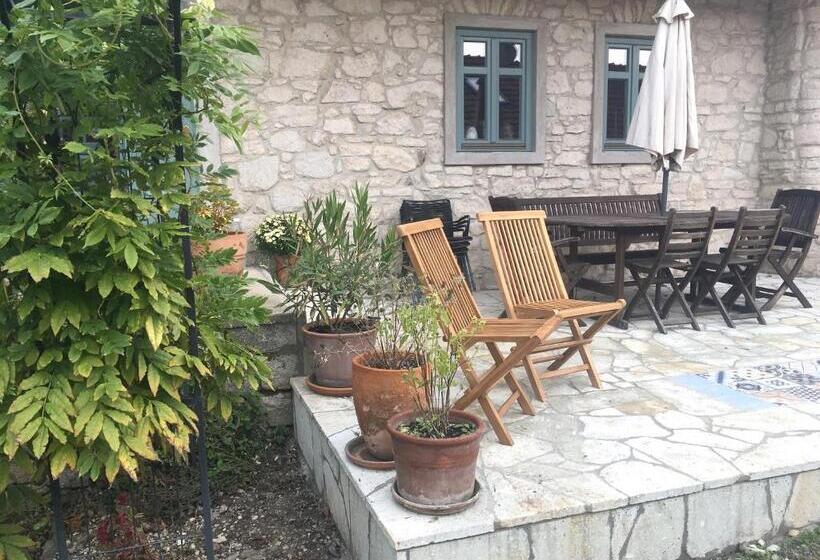 膳宿费 Hungry Grape Guests